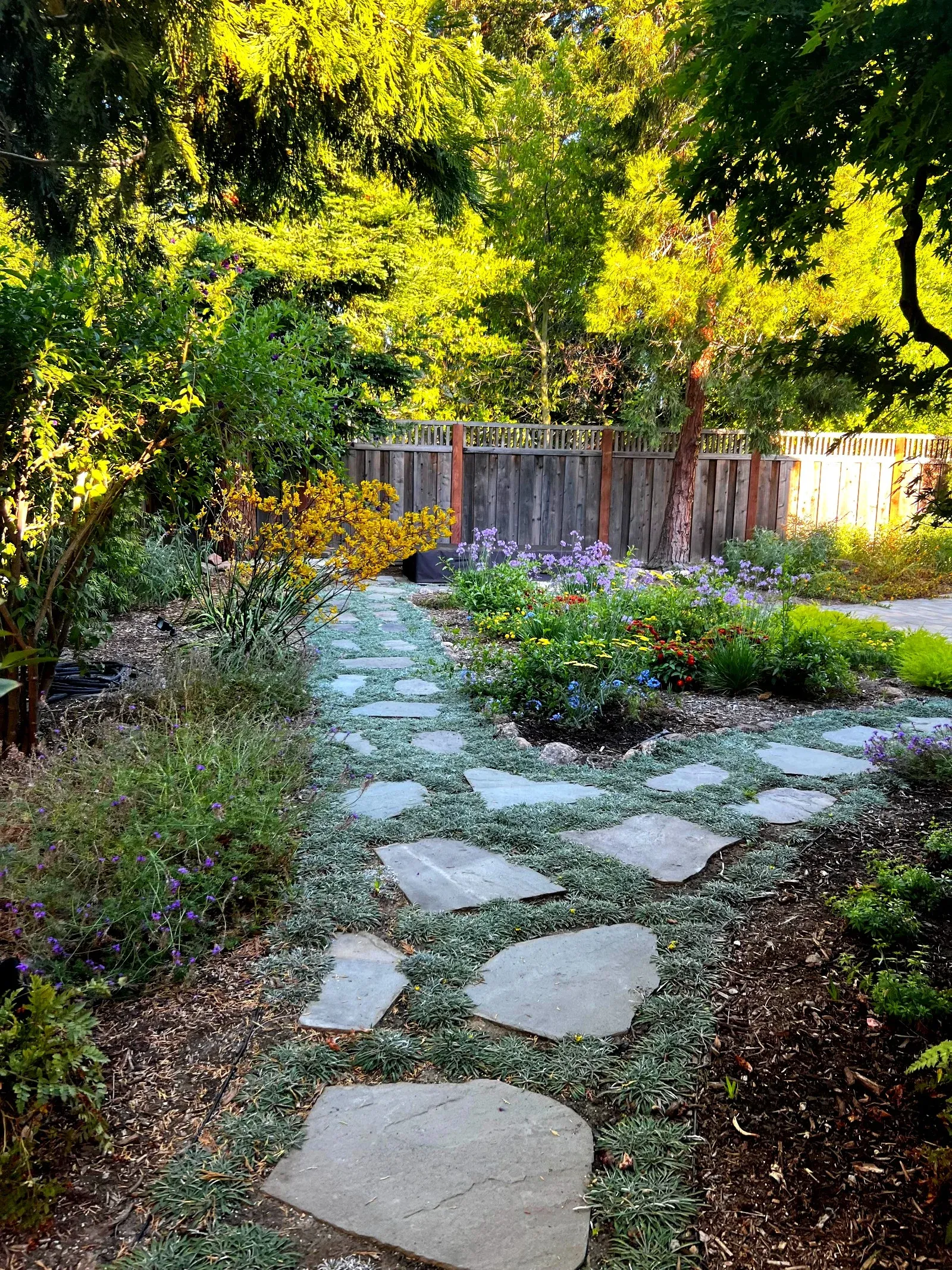 Flagstone paths set into low groundcover, winding between flowering beds and mature trees.