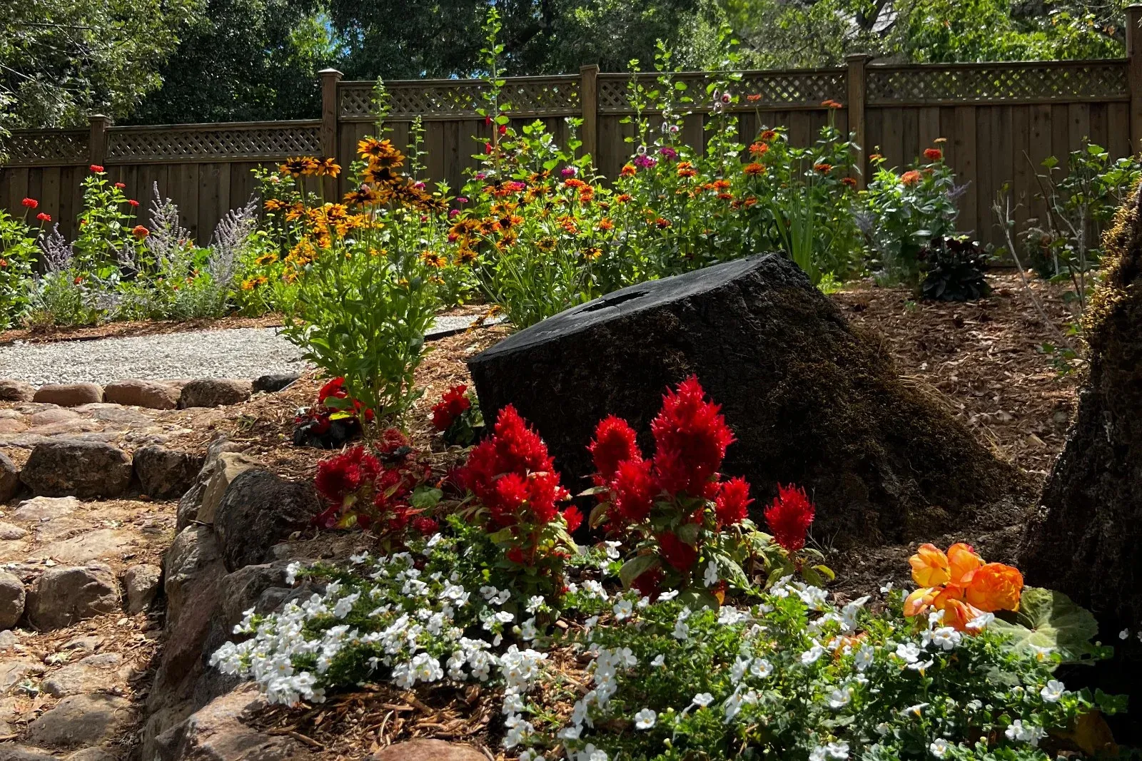 Red, orange and white flowers planted among rocks around a tree stump, with taller flowers behind.