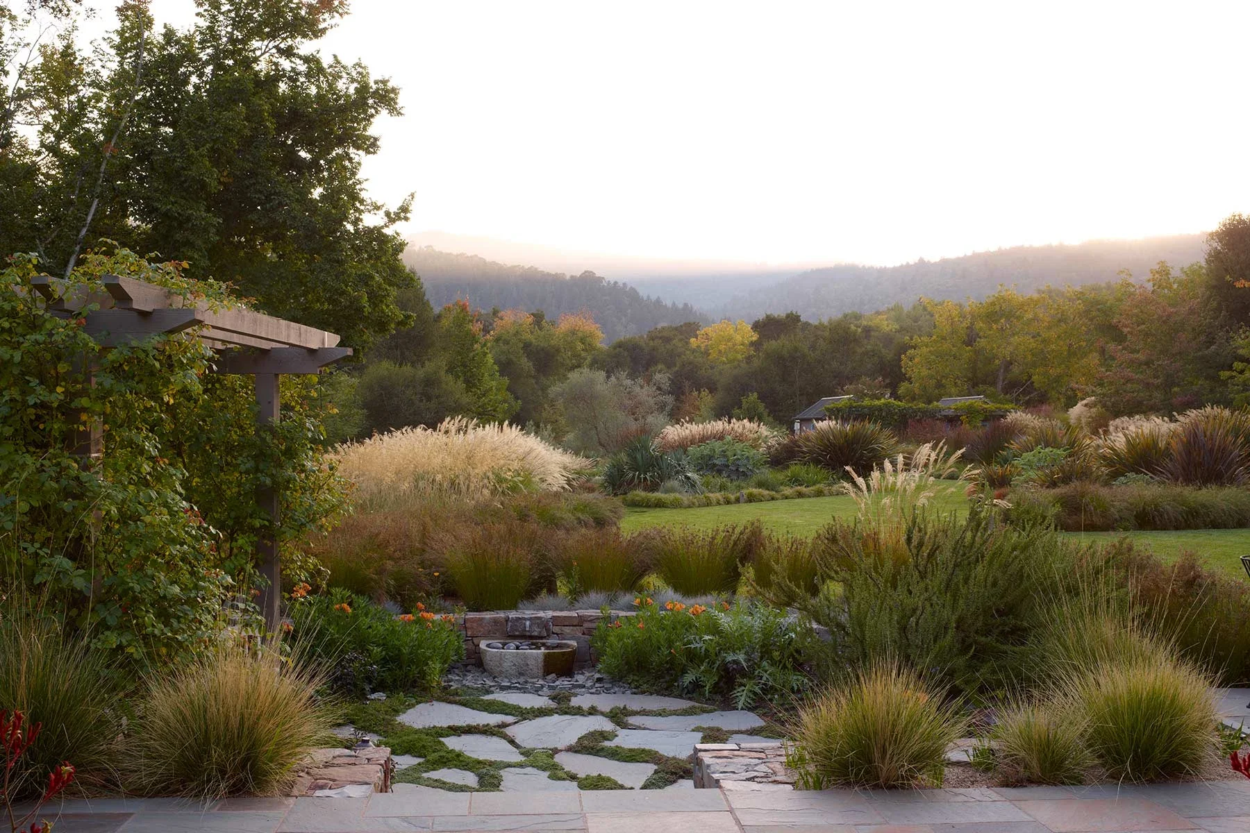 A Woodside garden with ornamental grasses, stone paving and mature trees.